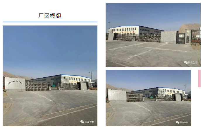 1703570296207324.png image.png