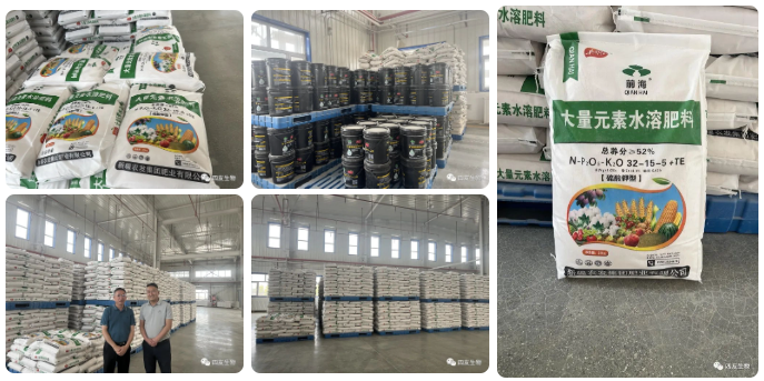 1703570432925158.png image.png