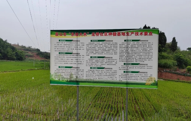 定制化肥料解決方案，助力東坡大米產(chǎn)業(yè)健康發(fā)展