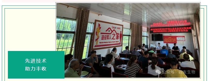 1724037986980371.png 微信截圖_20240819112429.png